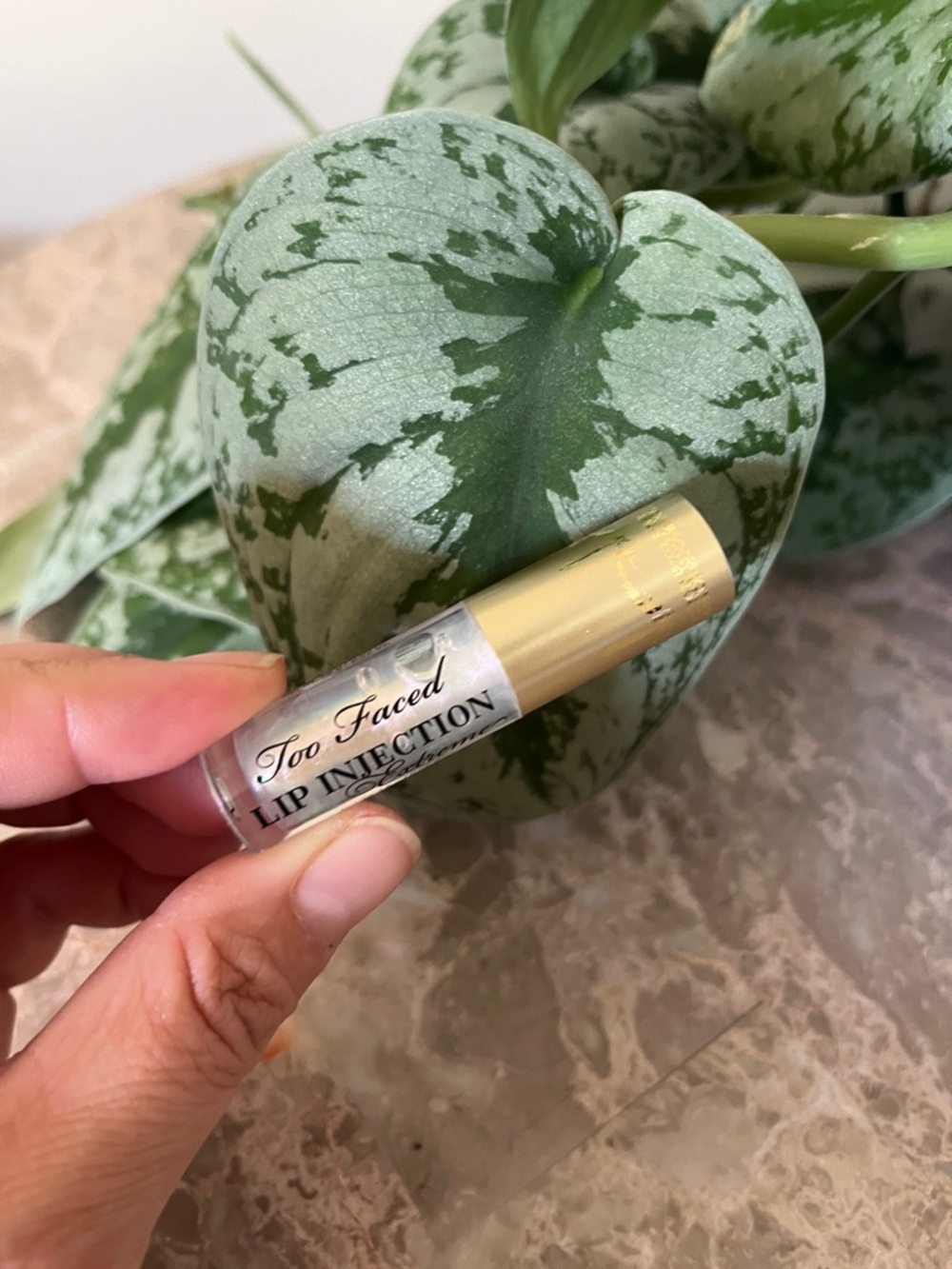 Too Faced Lip Injection Extreme 1.5g + 1 Set Black Lashes Adhesive